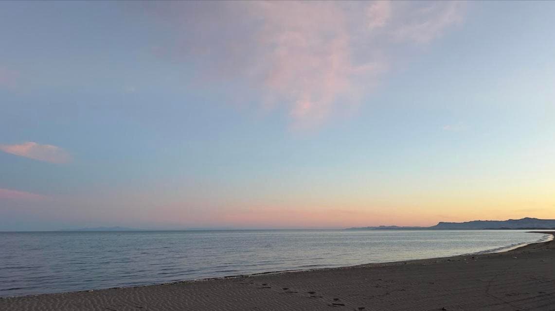 Punta Coyote