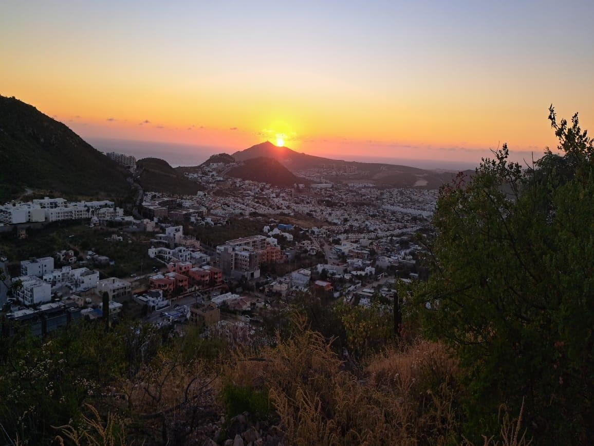 La Cereza