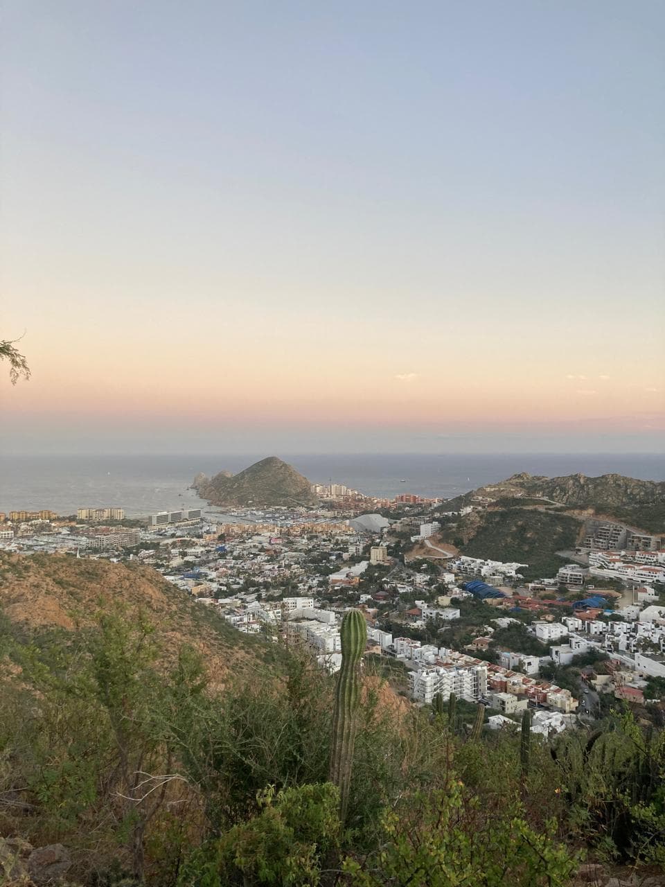 La Cereza