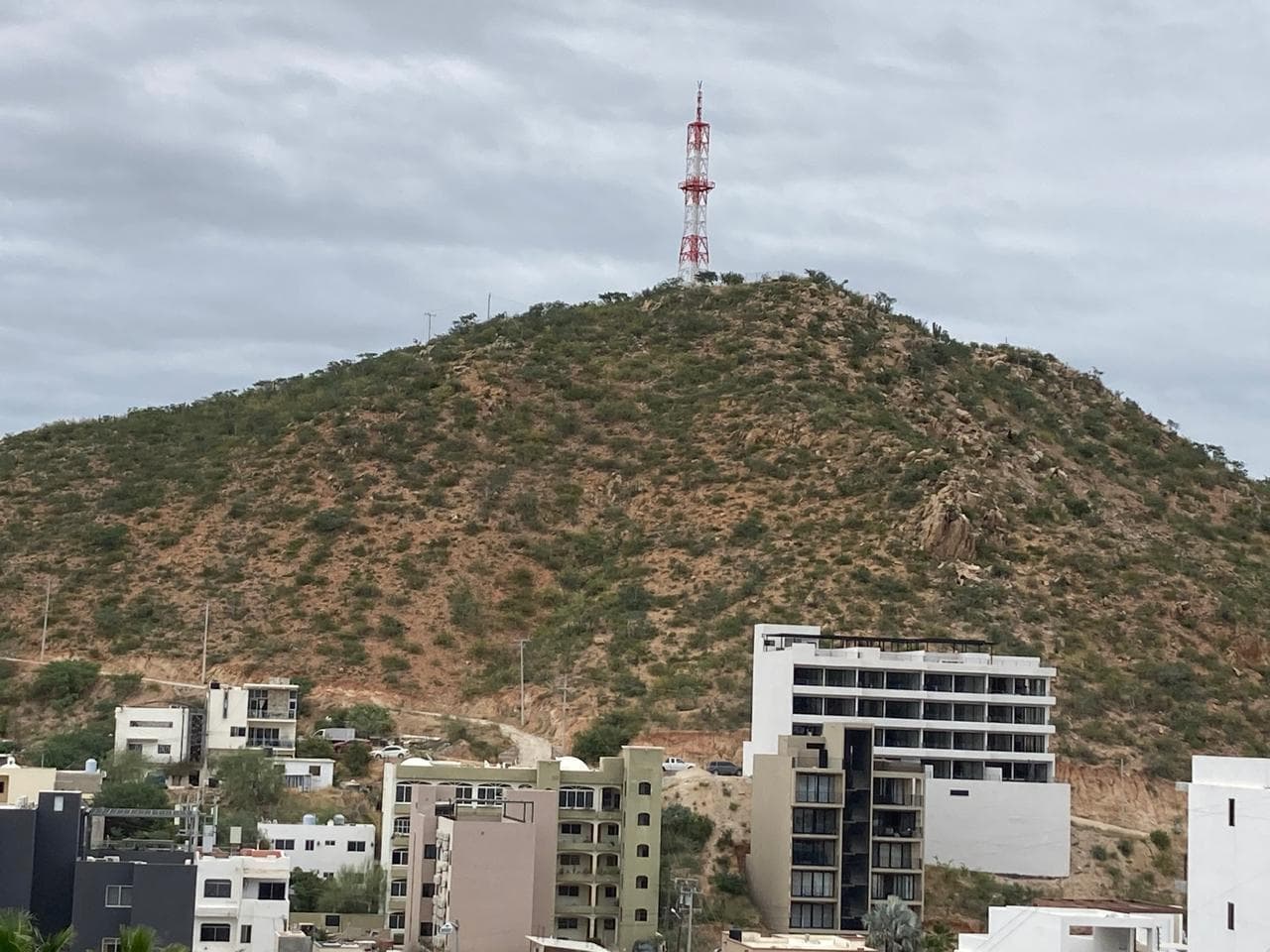 La Cereza
