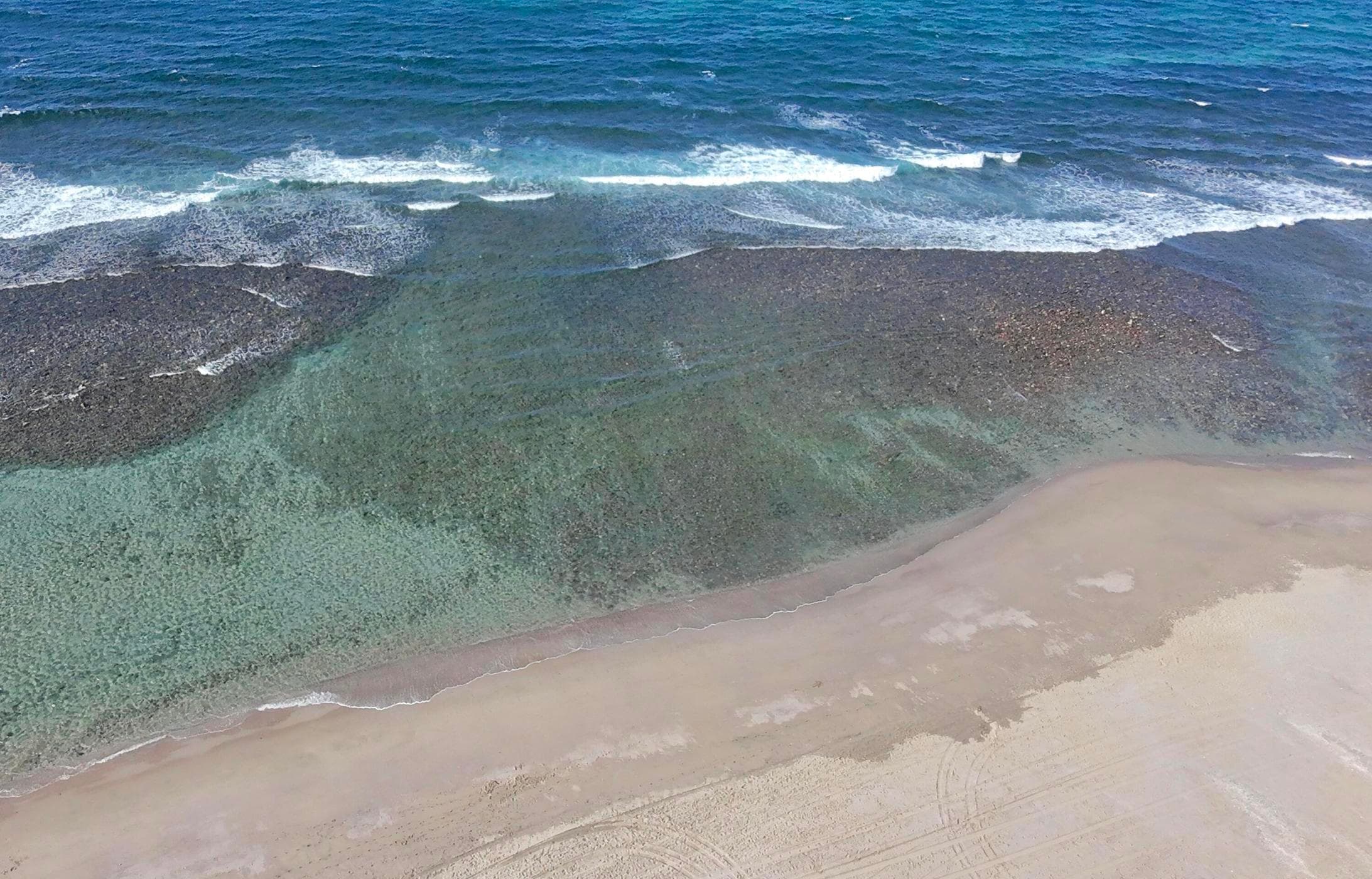 Oceanfront Beach Reserve,