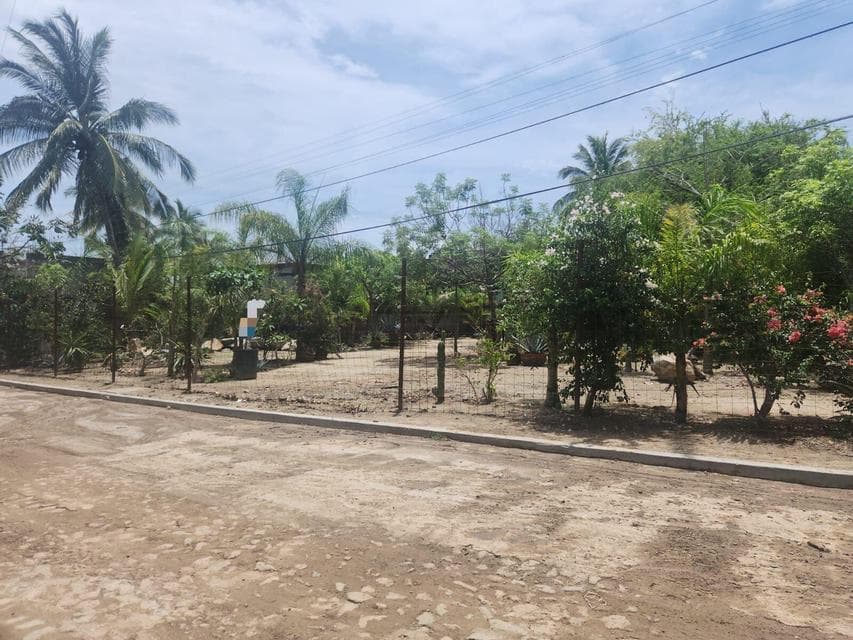 Terreno