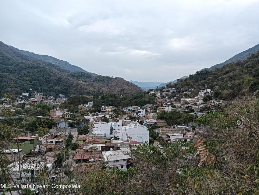 LOTE CAMICHIN 12
