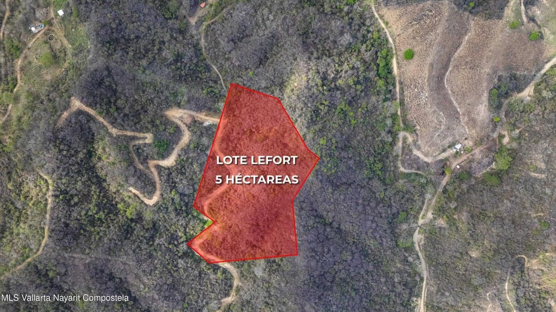Lote Lefort