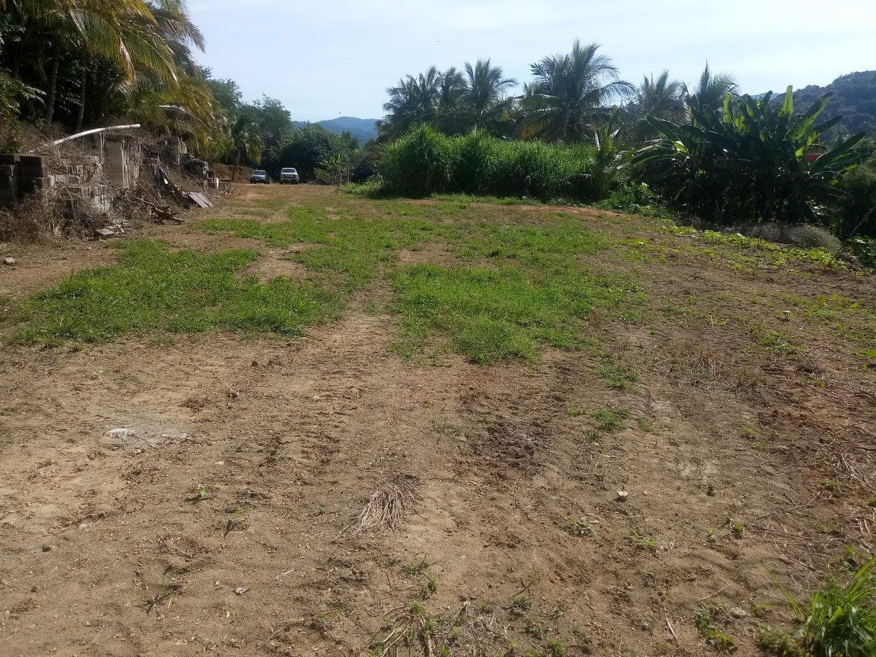 Lote Nueva Galicia