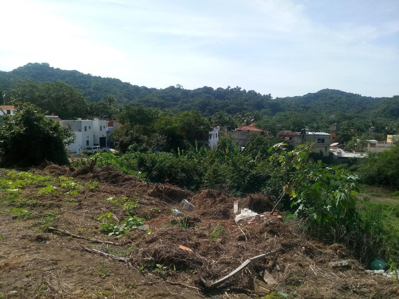 Lote Nueva Galicia