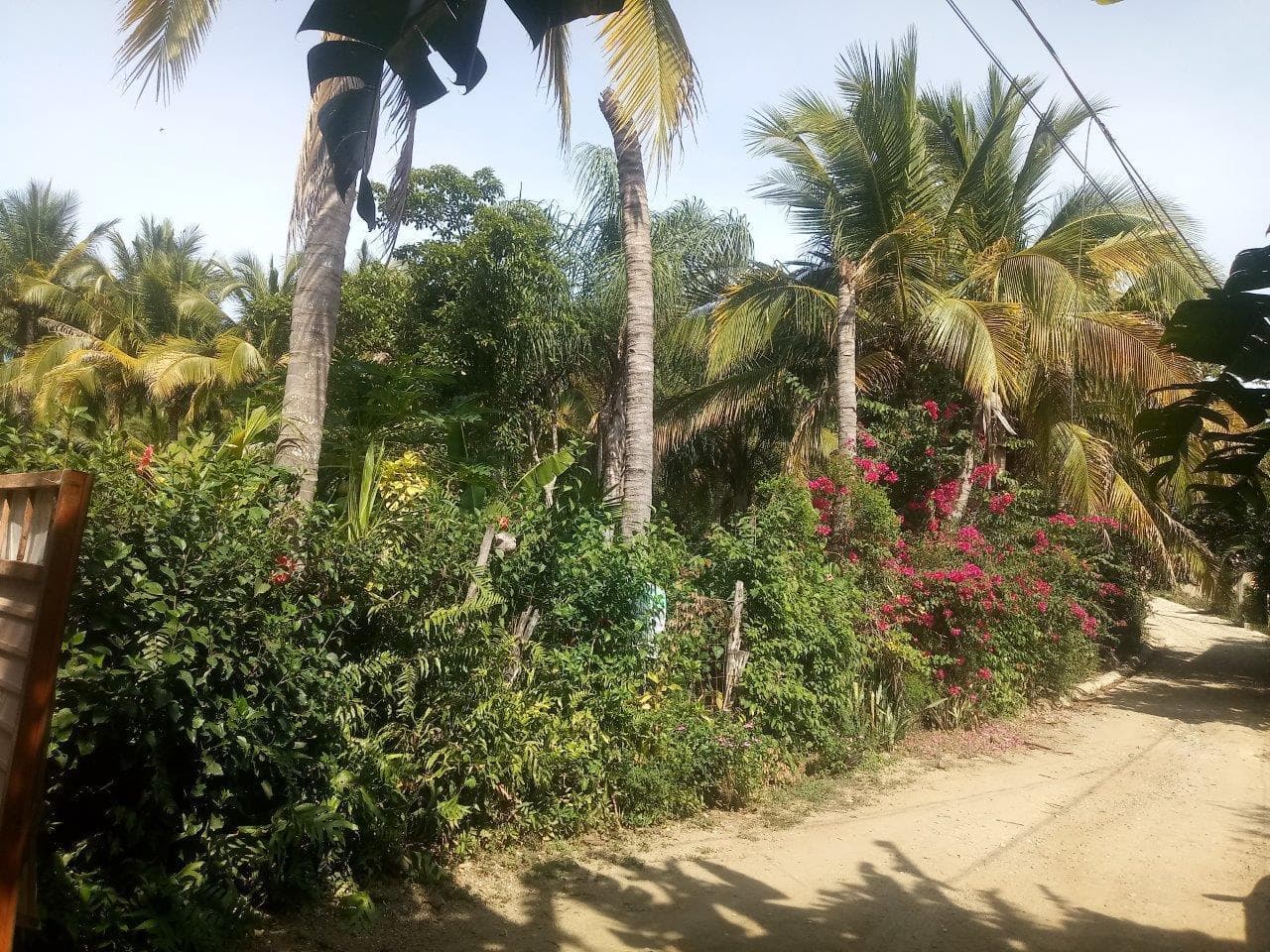 Lote Nueva Galicia