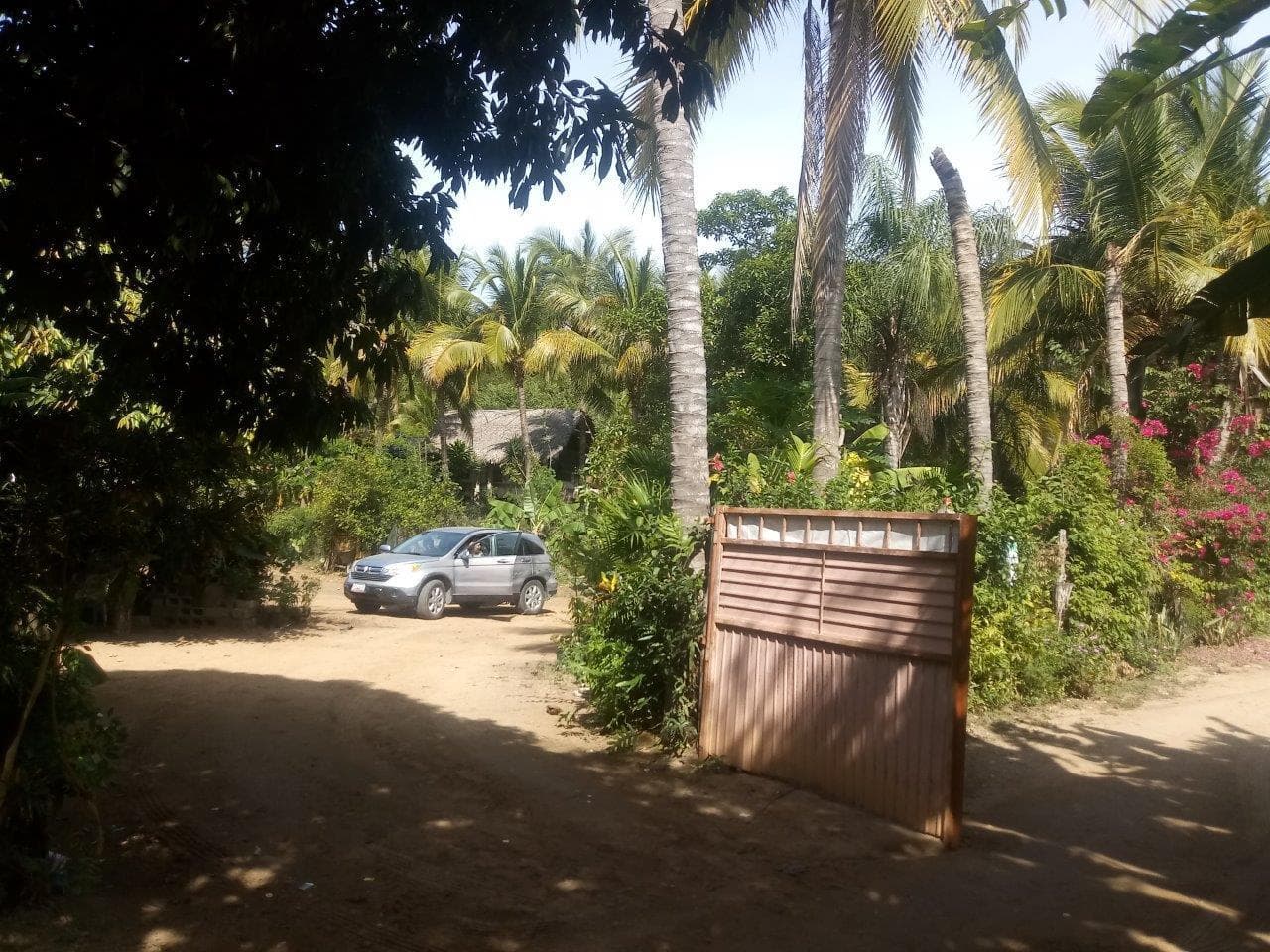 Lote Nueva Galicia