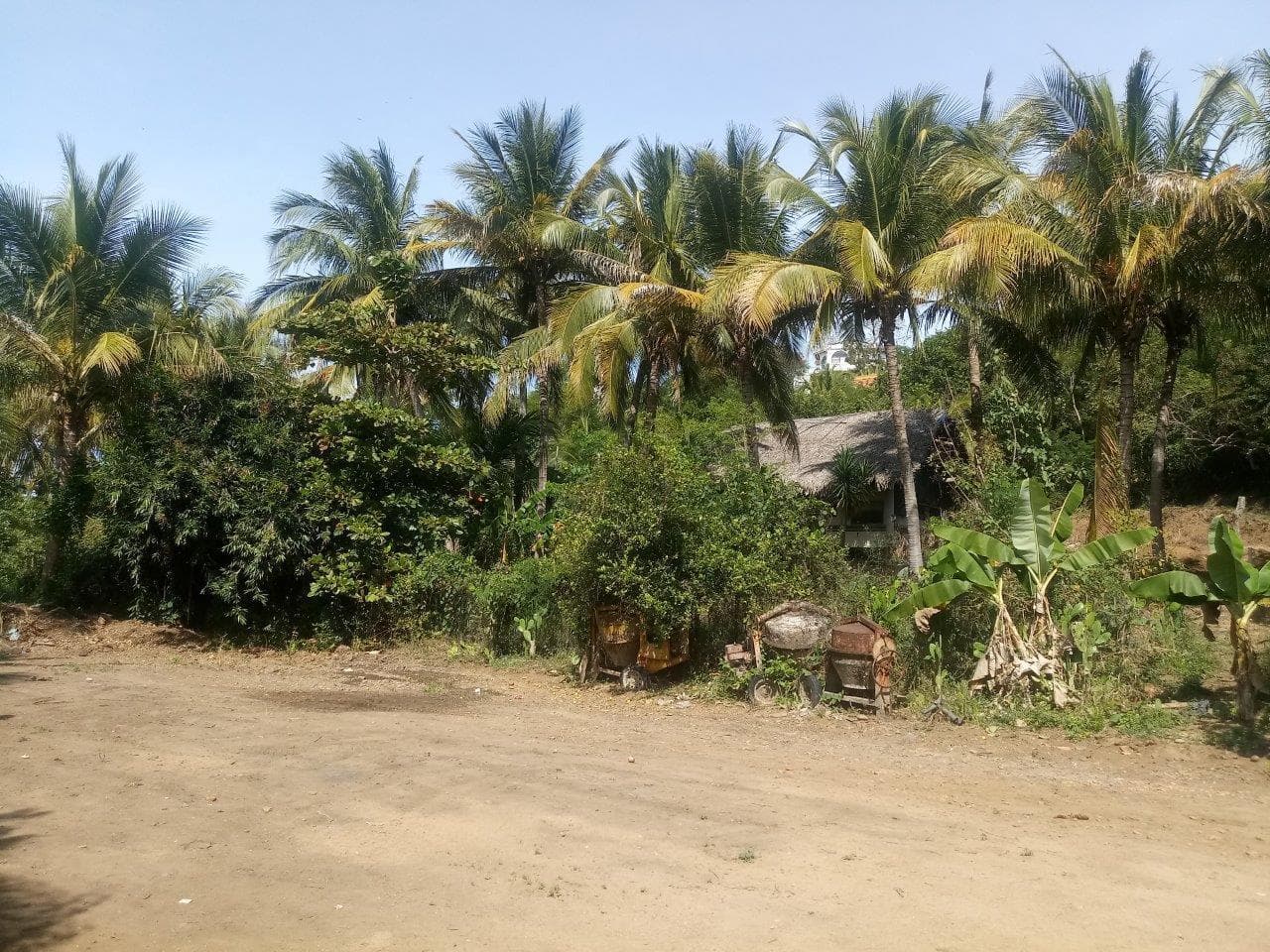 Lote Nueva Galicia
