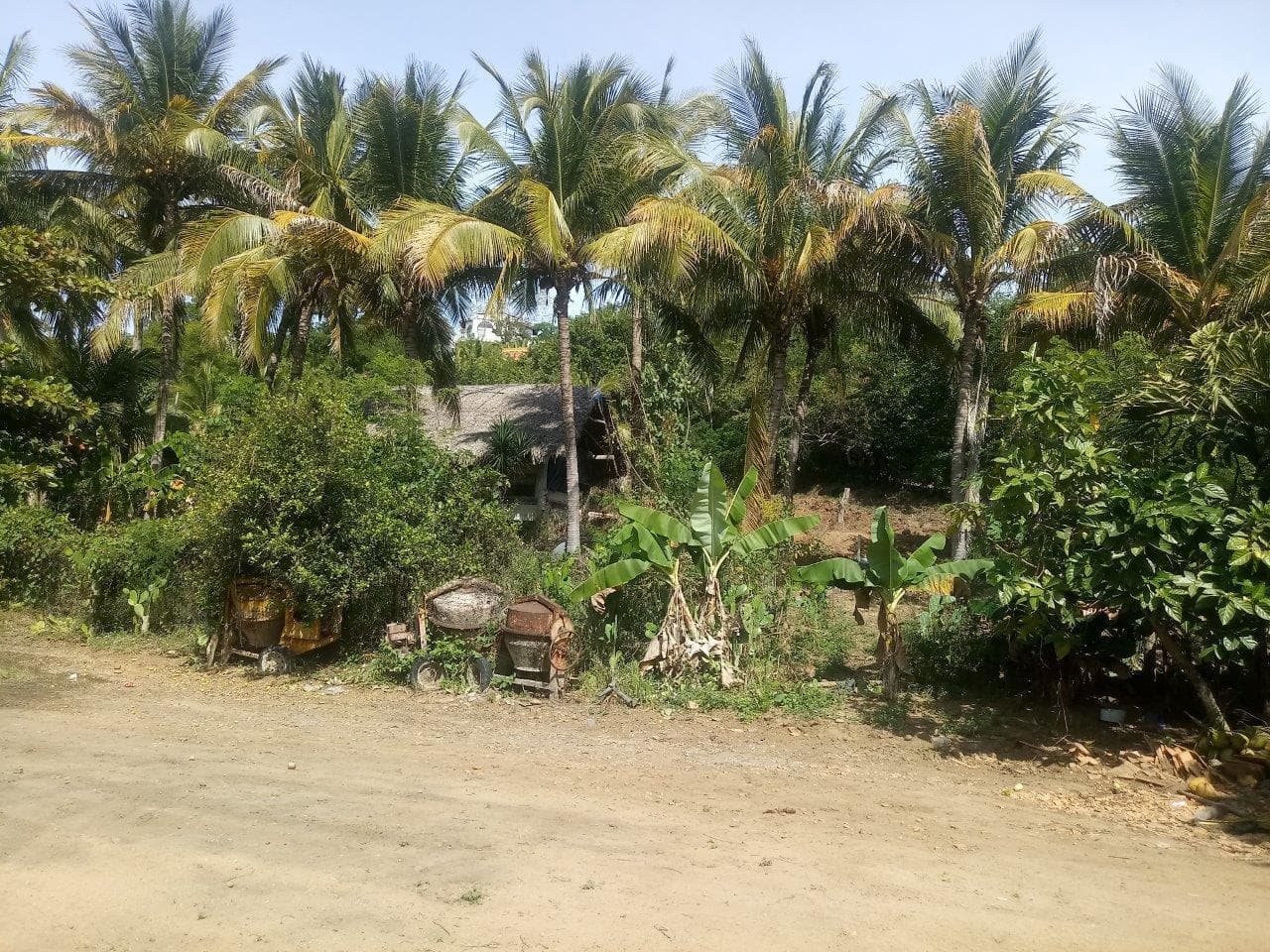 Lote Nueva Galicia