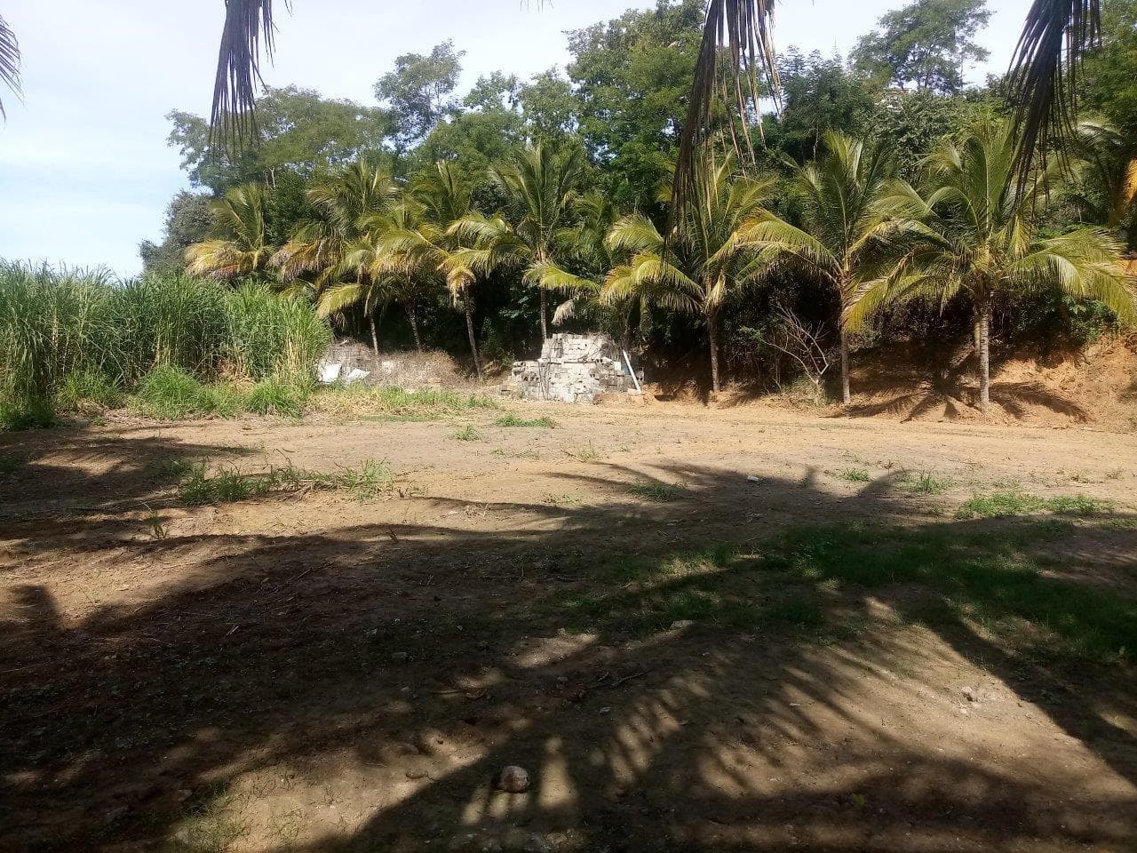 Lote Nueva Galicia