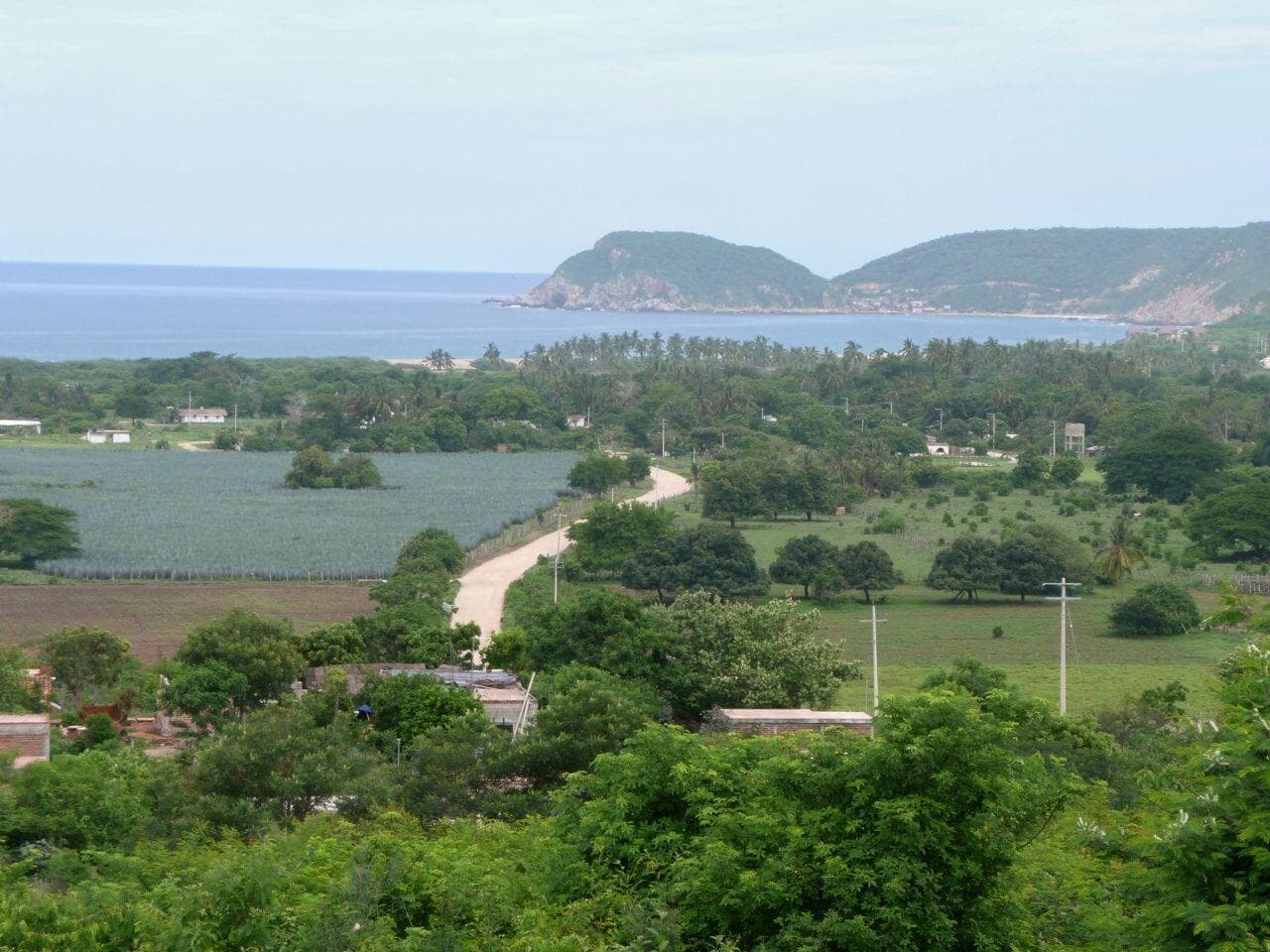 Lote Ipala 28H