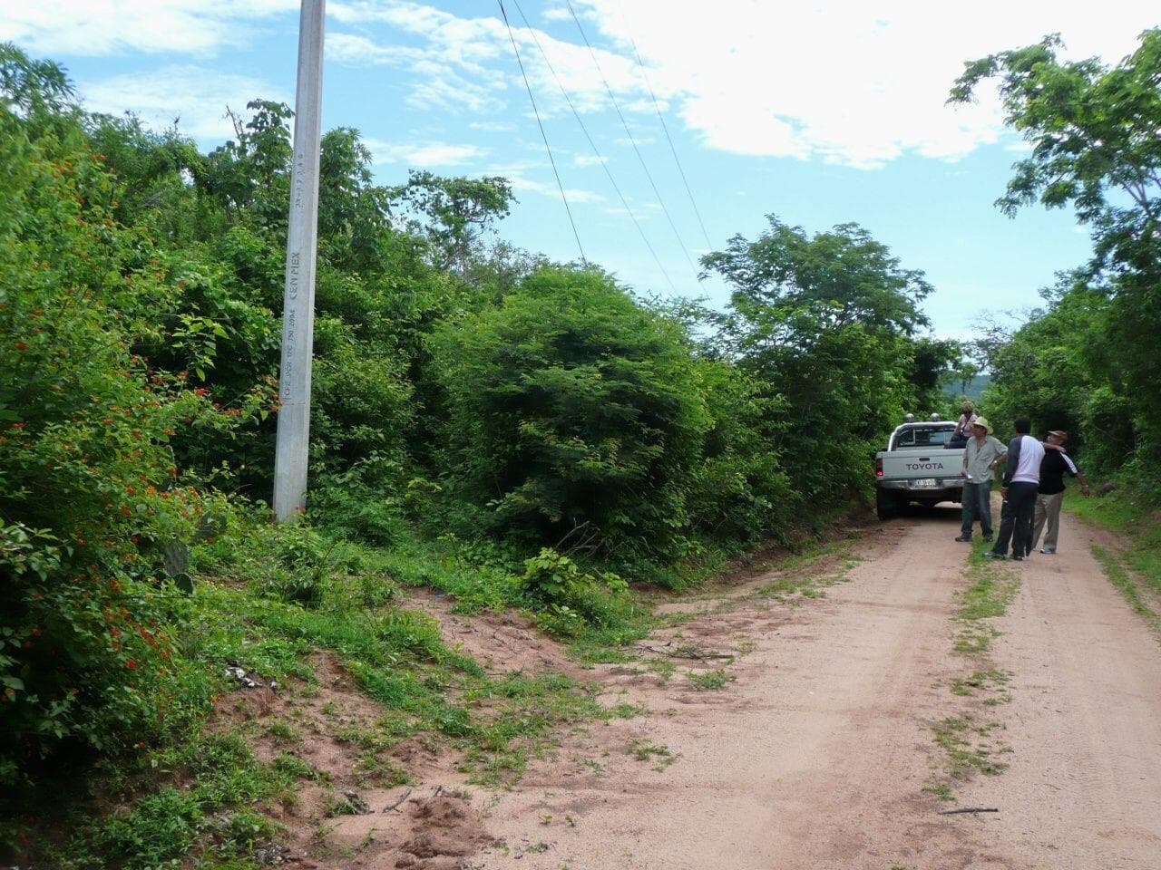 Lote Ipala 28H