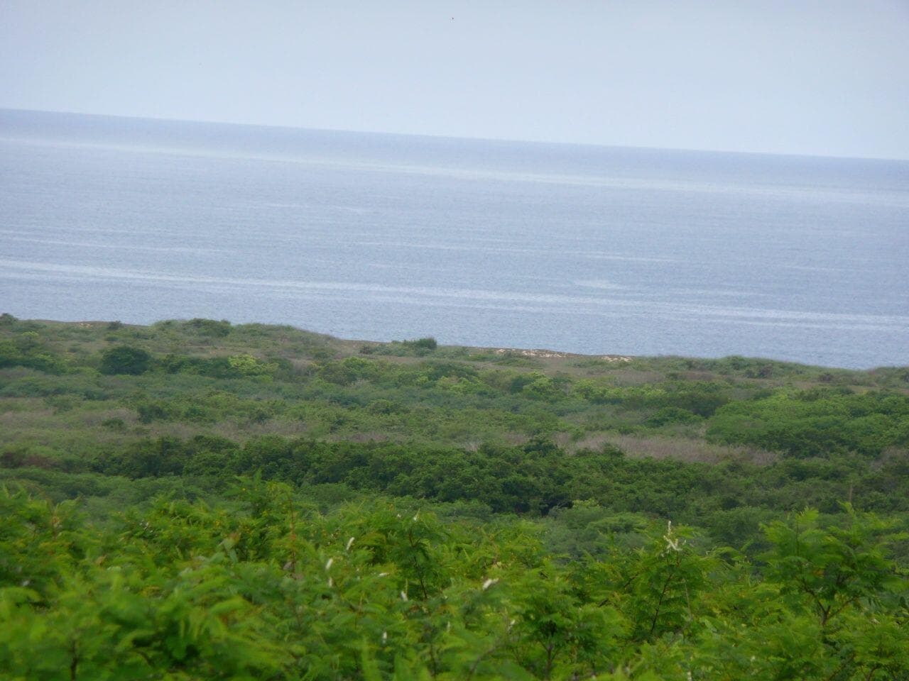 Lote Ipala 28H