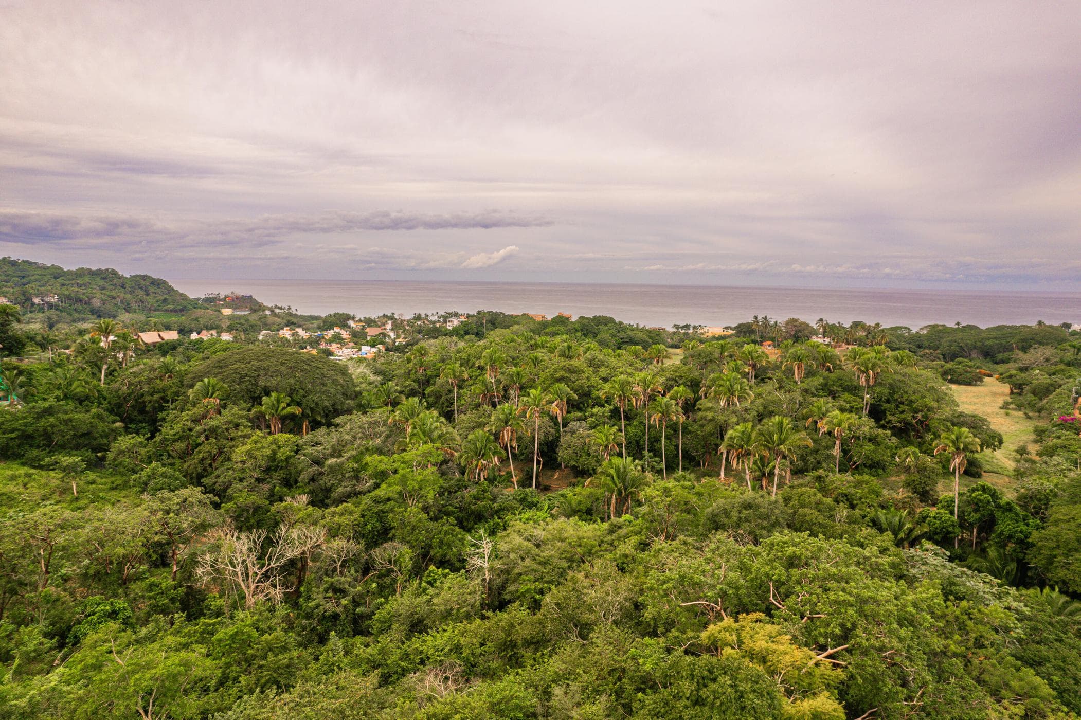 LAS VISTAS