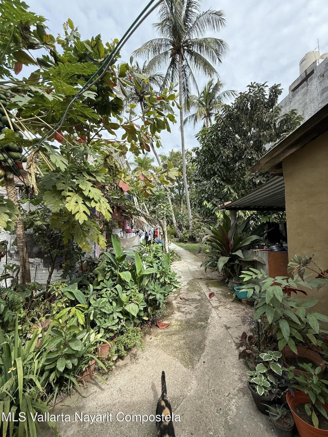 San Pancho Main Street Lot.