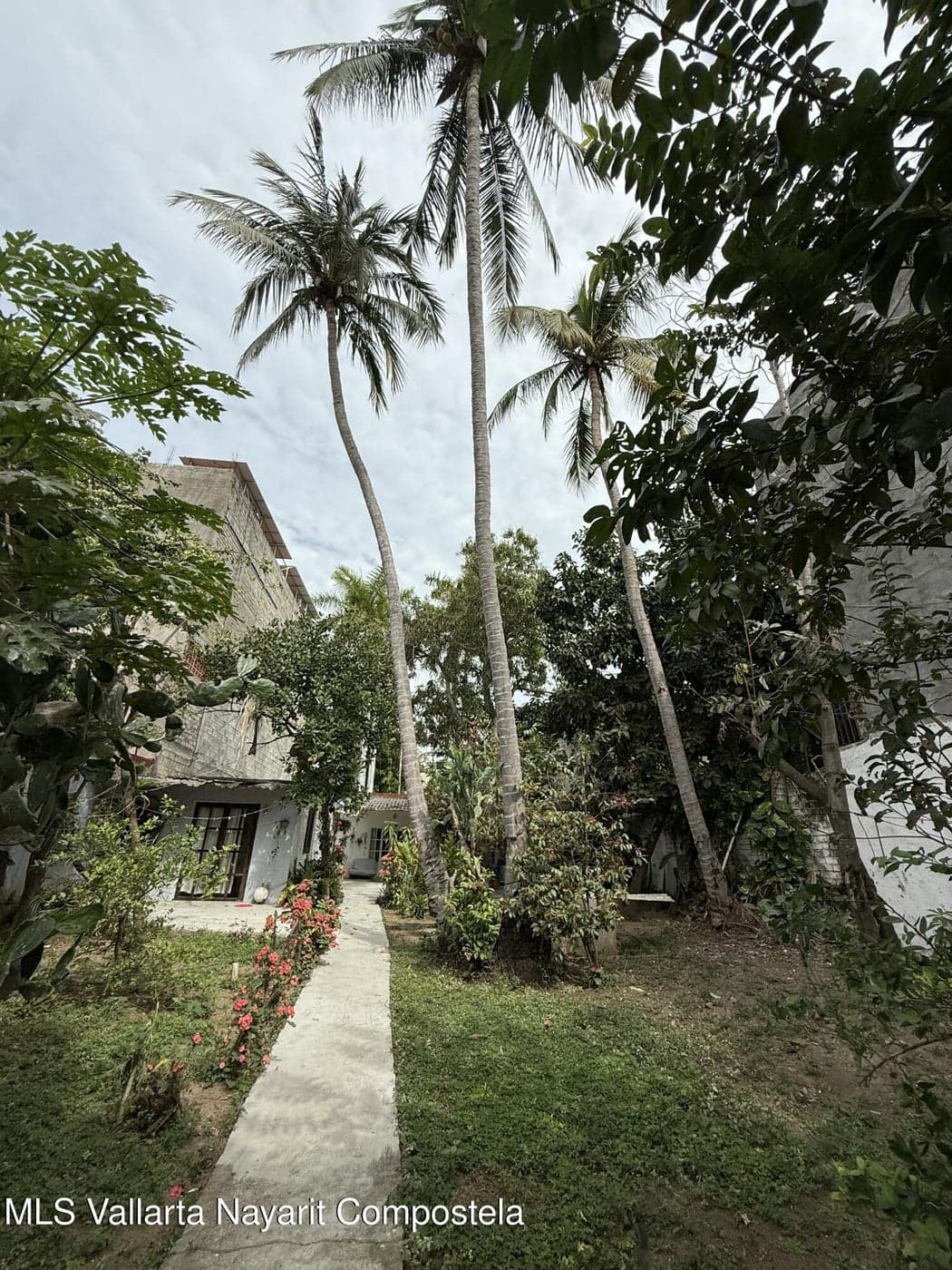 San Pancho Main Street Lot.
