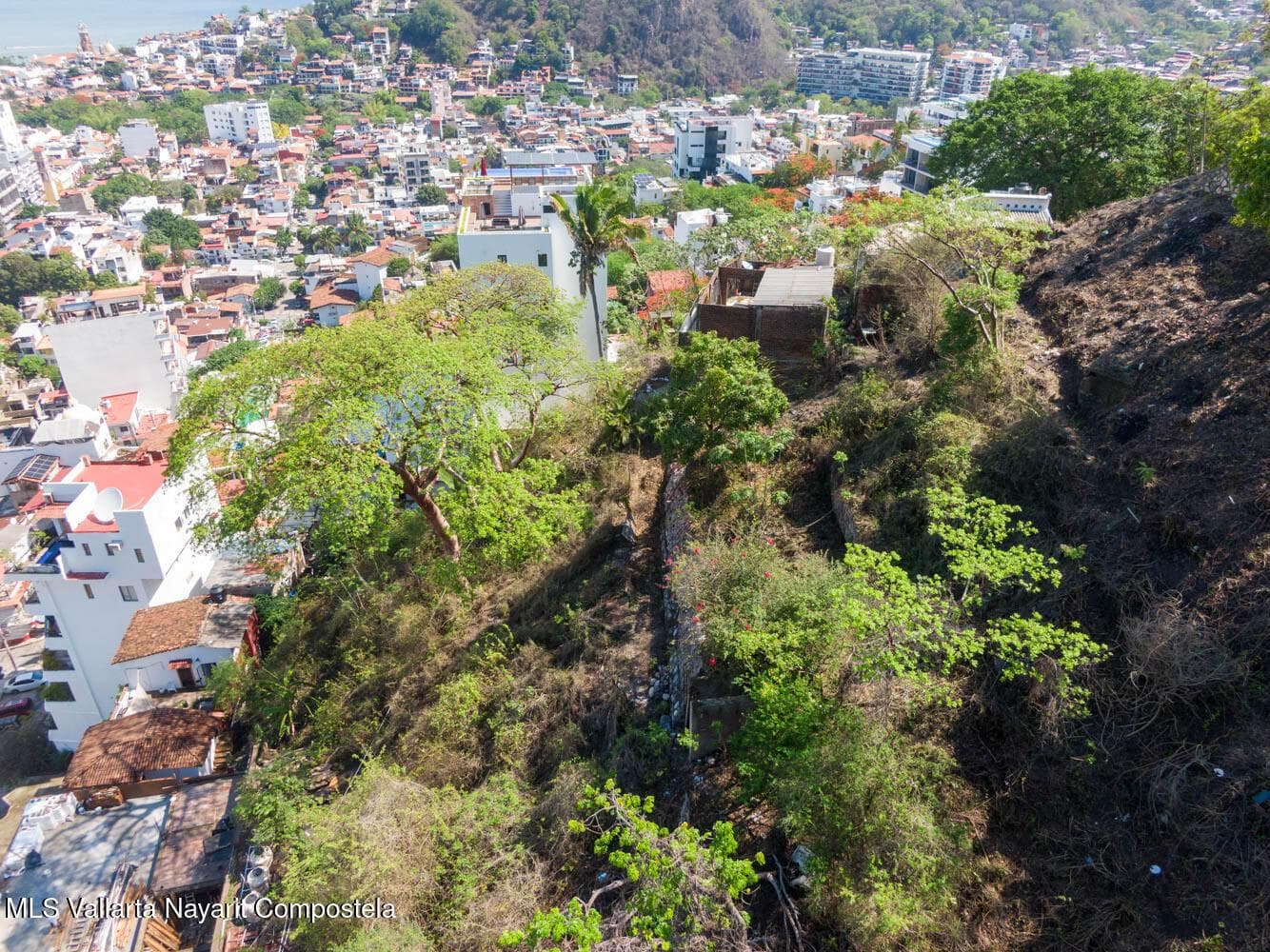 Lote Alta Vista
