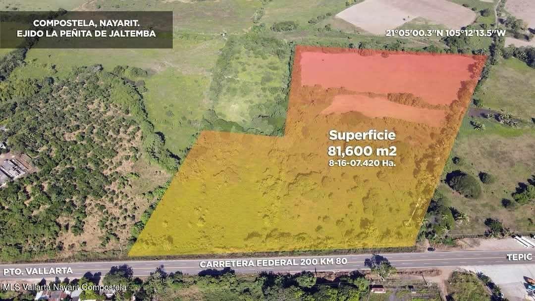 LOTE PEÑITA-KIKIS