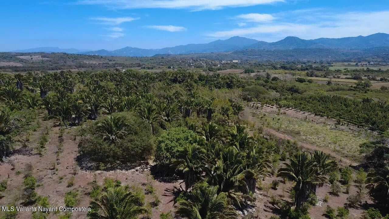 LOTE PEÑITA-KIKIS