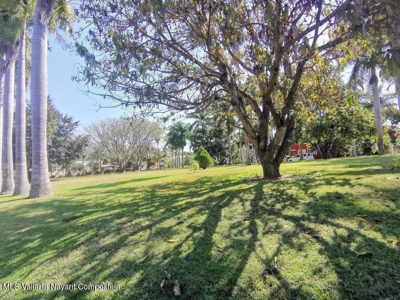 Los mangos Lot 24 D
