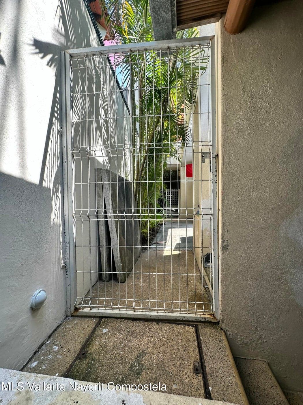 Gaviotas 163