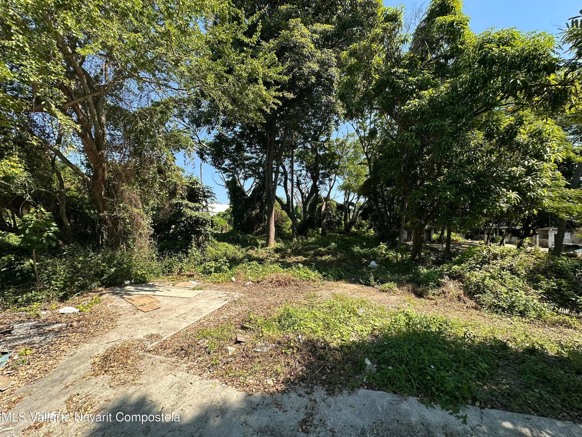 Lote Castro