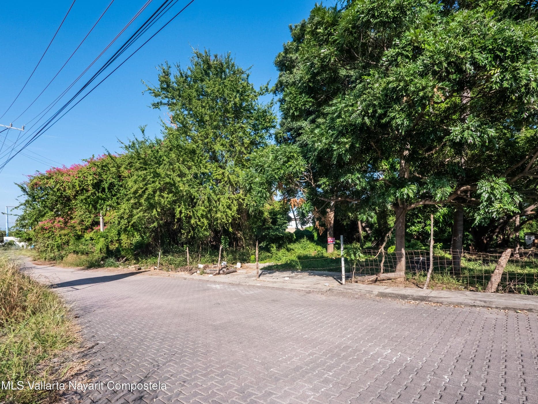 Lote Castro