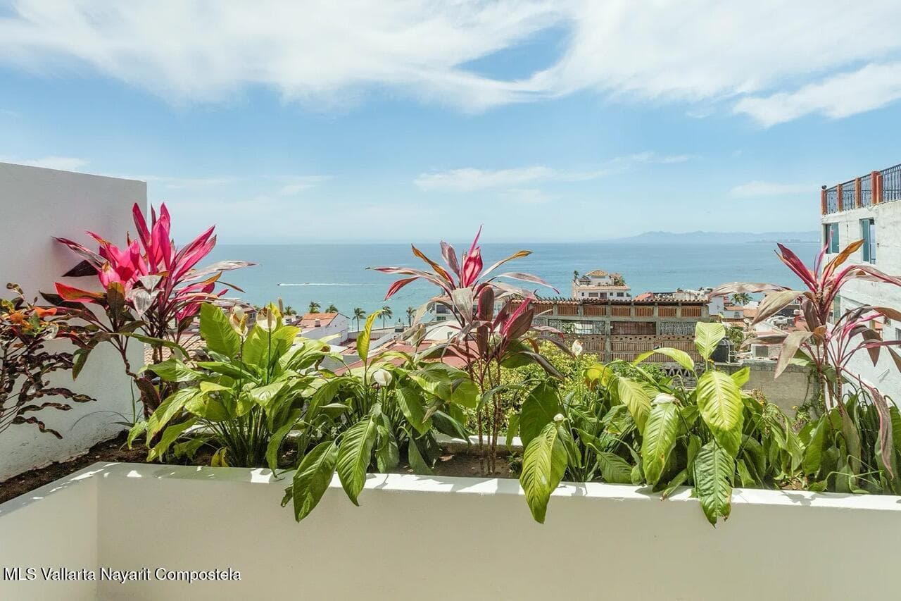 NAWALLI-PUERTO VALLARTA