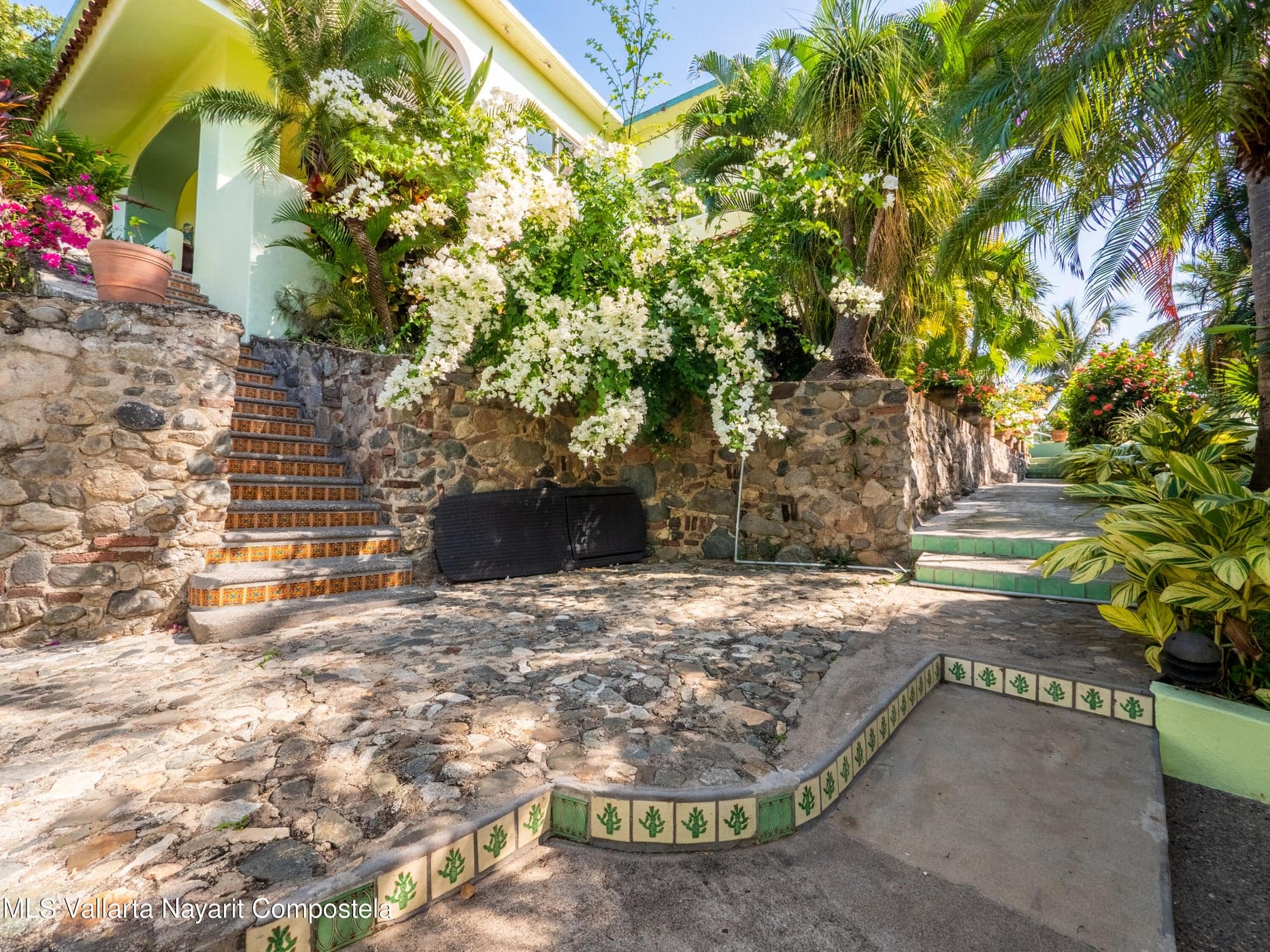 Oasis on the Hill