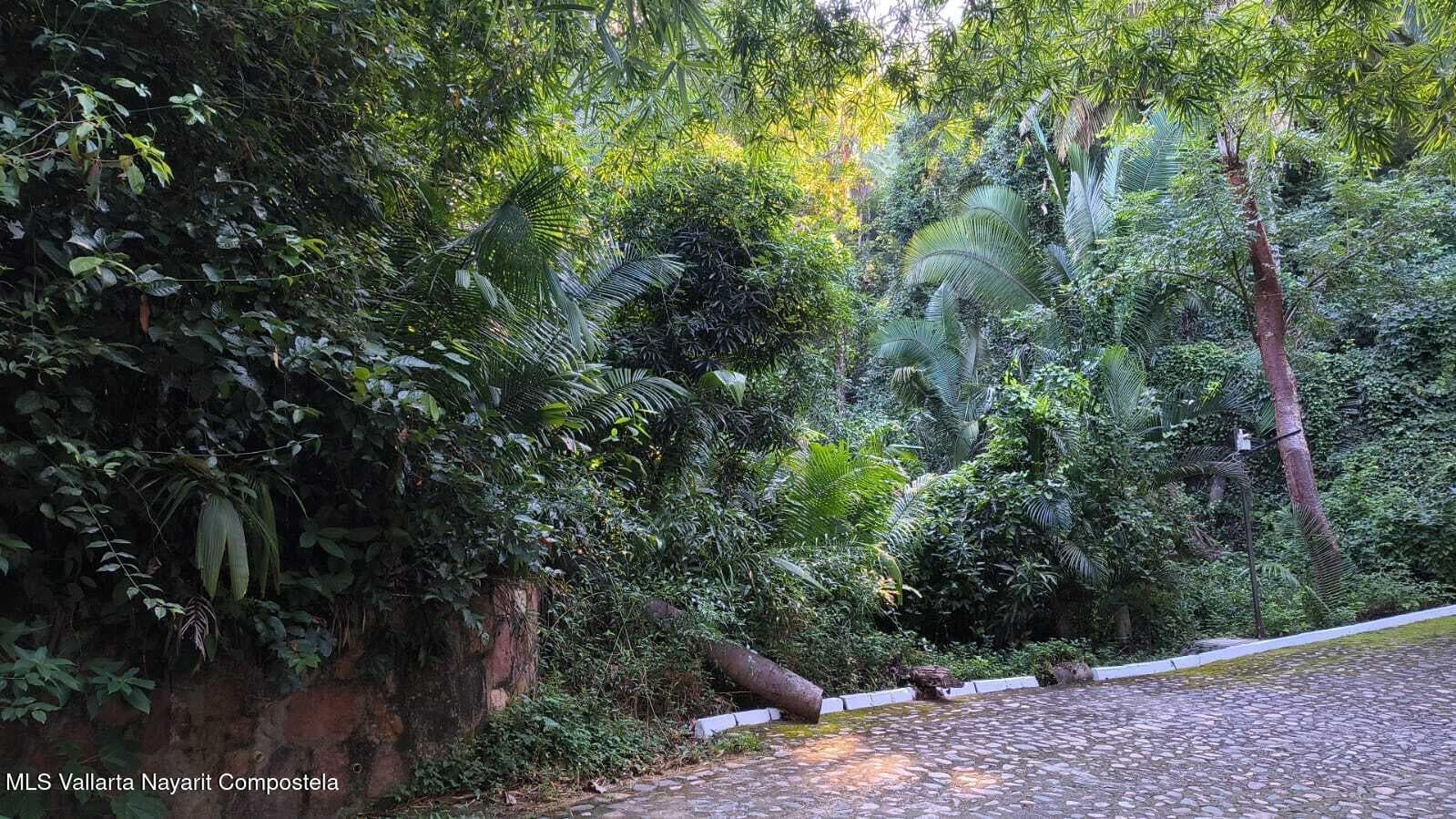 Lote 29 San Xoaquín