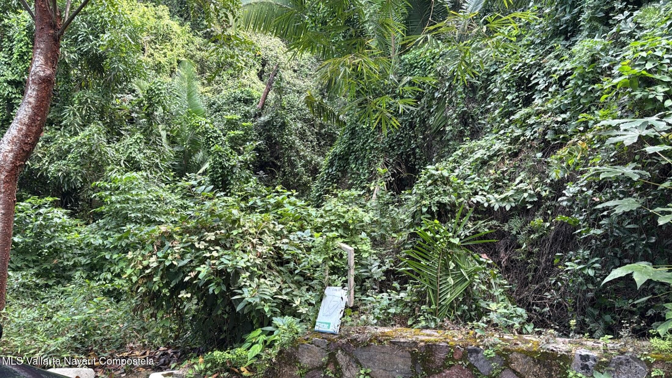 30 LOTE SAN XOAQUIN