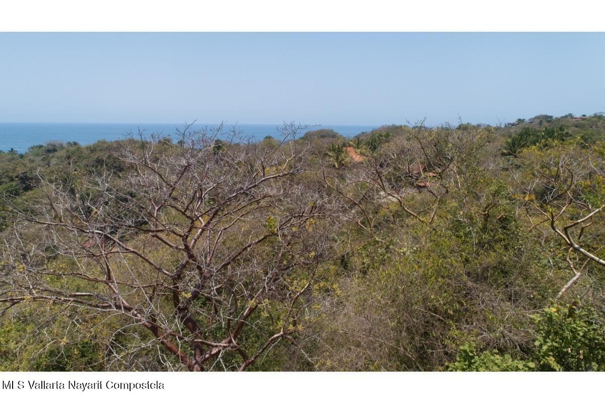 SELVA DEL MAR