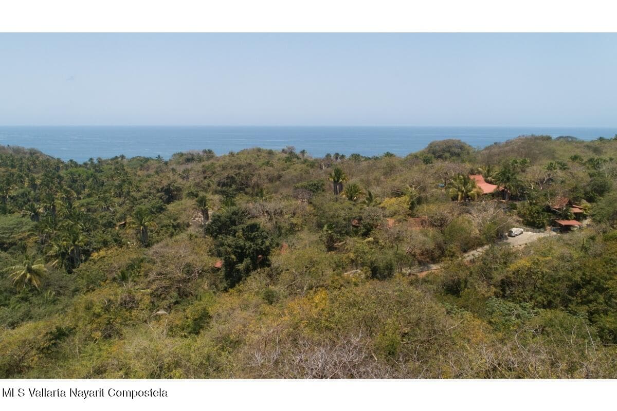 SELVA DEL MAR