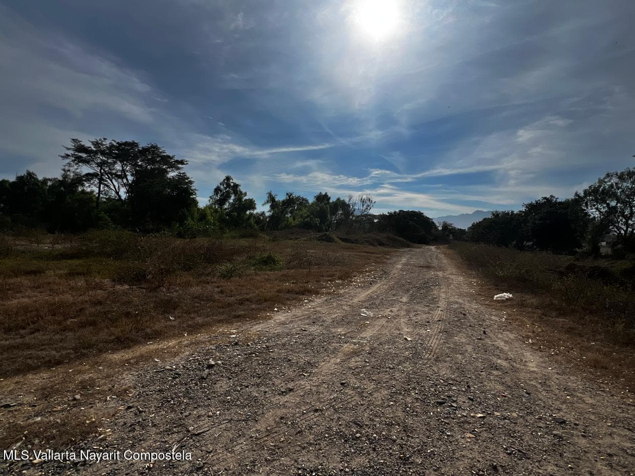 Lote Ameca
