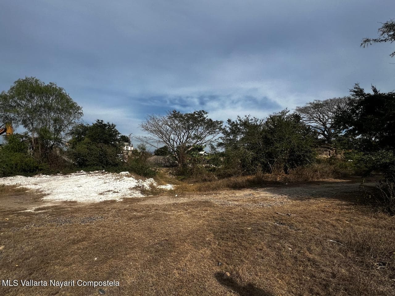 Lote Ameca