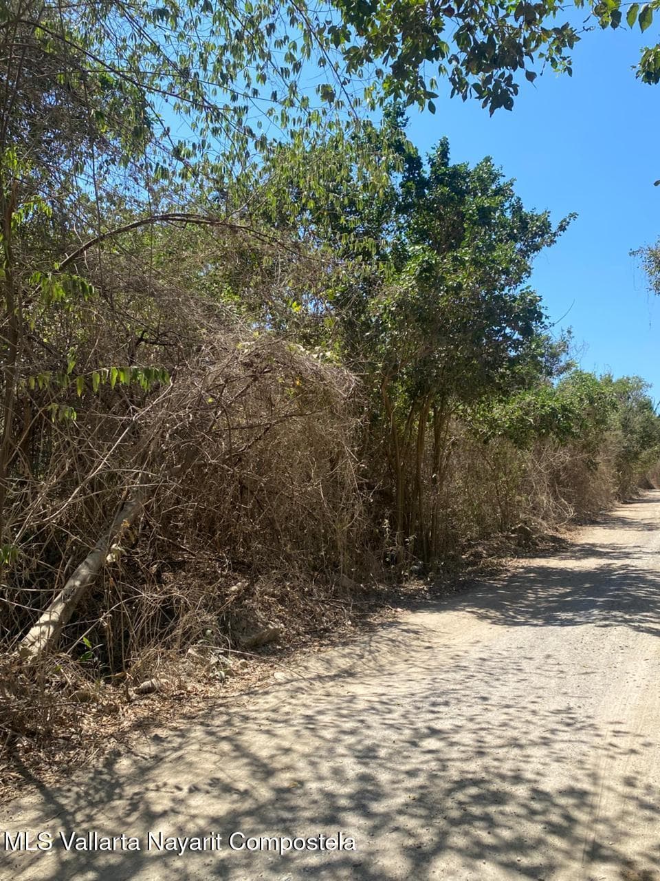 Lote Ochoa
