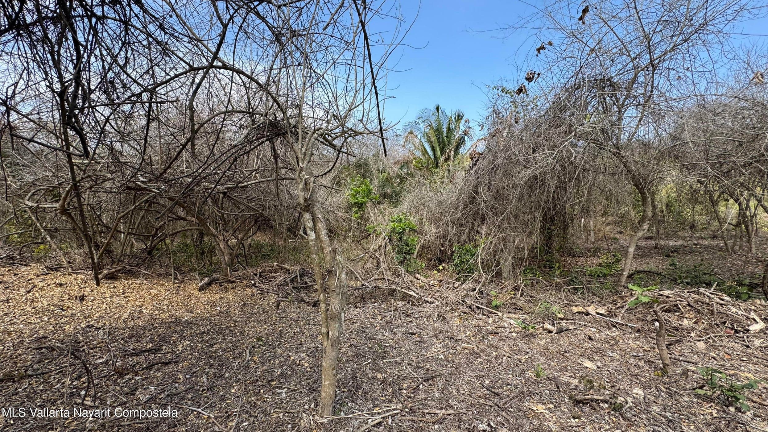 Lote 11, poligono 5 Dos Mares