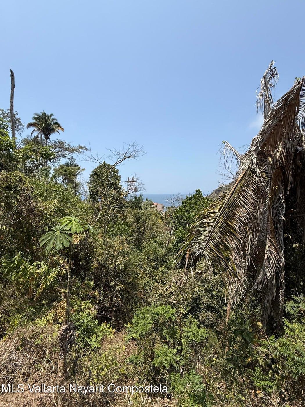Lomas del Pacifico