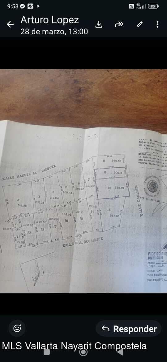 LOTE CAMICHIN 12