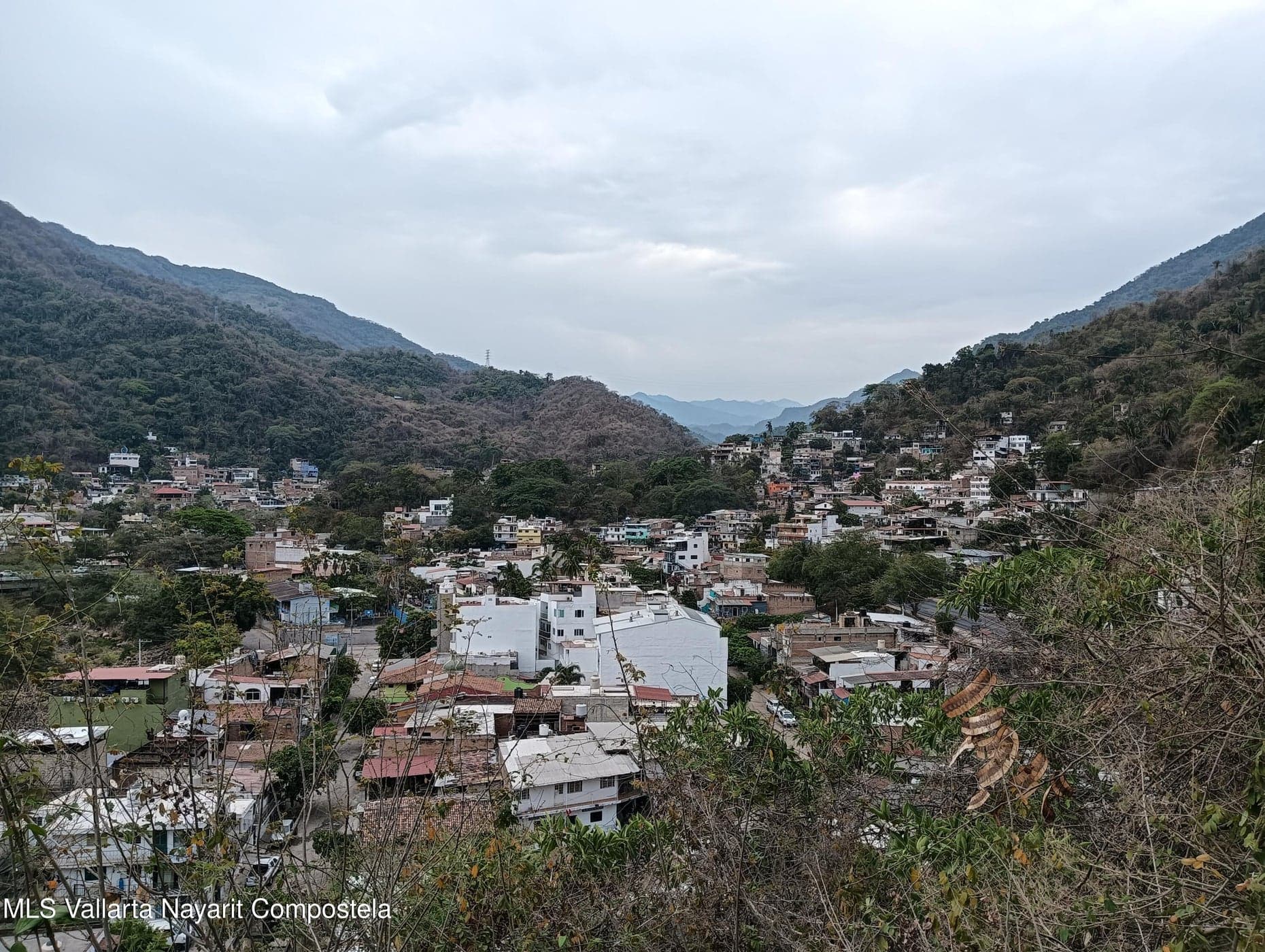 LOTE CAMICHIN 12