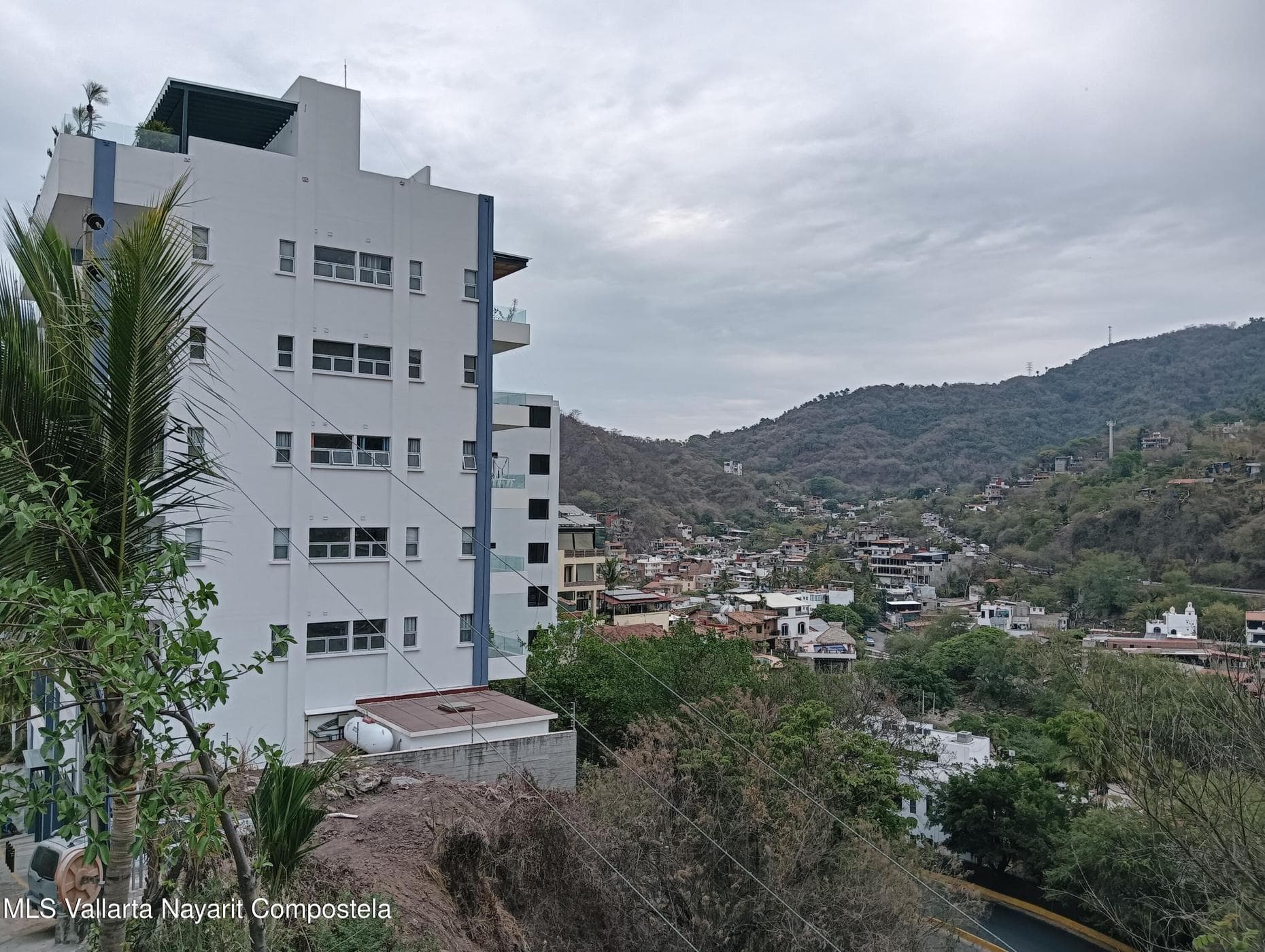 LOTE CAMICHIN 12