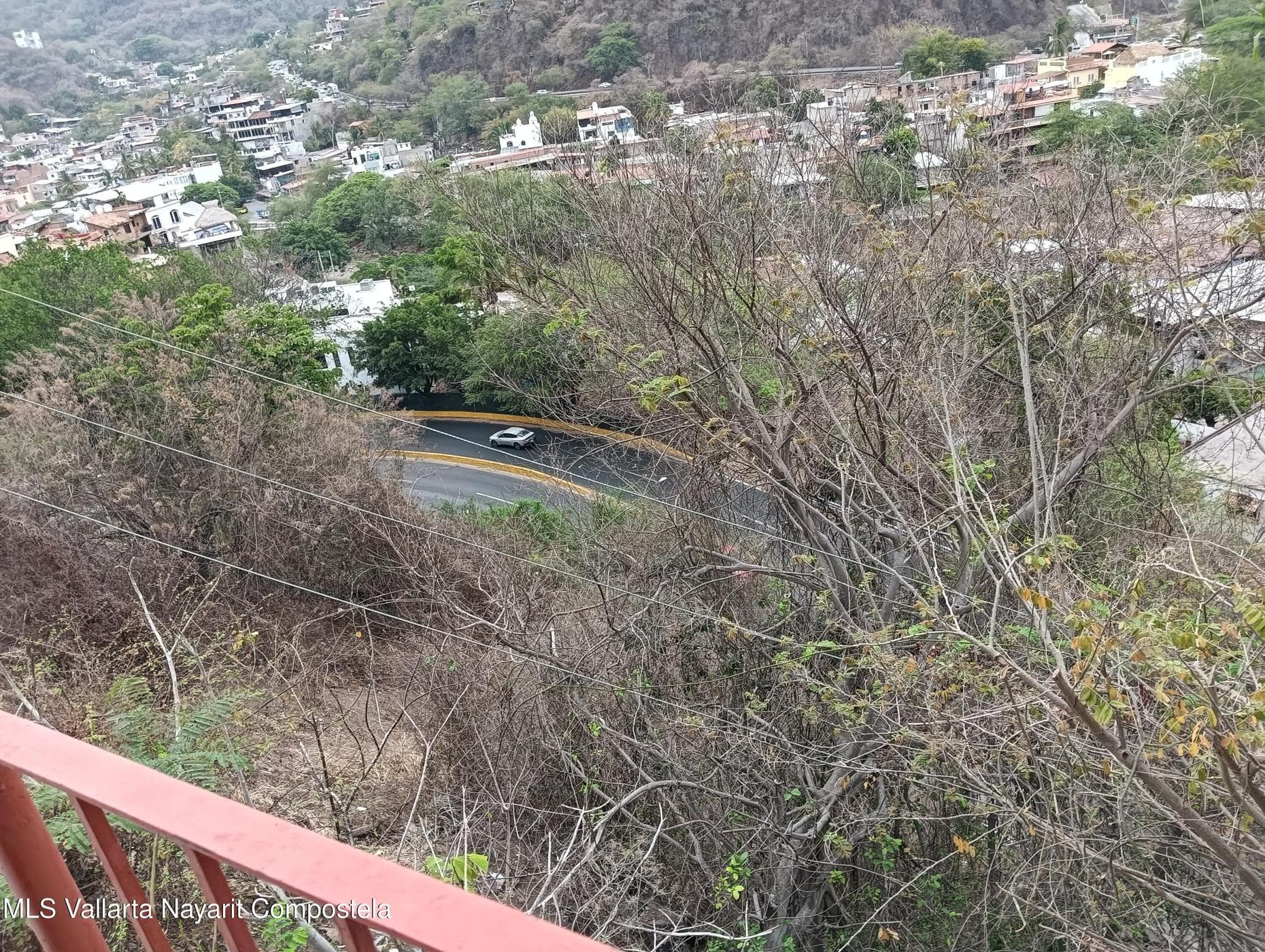 LOTE CAMICHIN 12