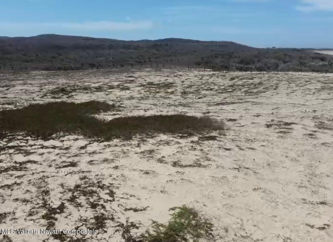 Lote Tehua