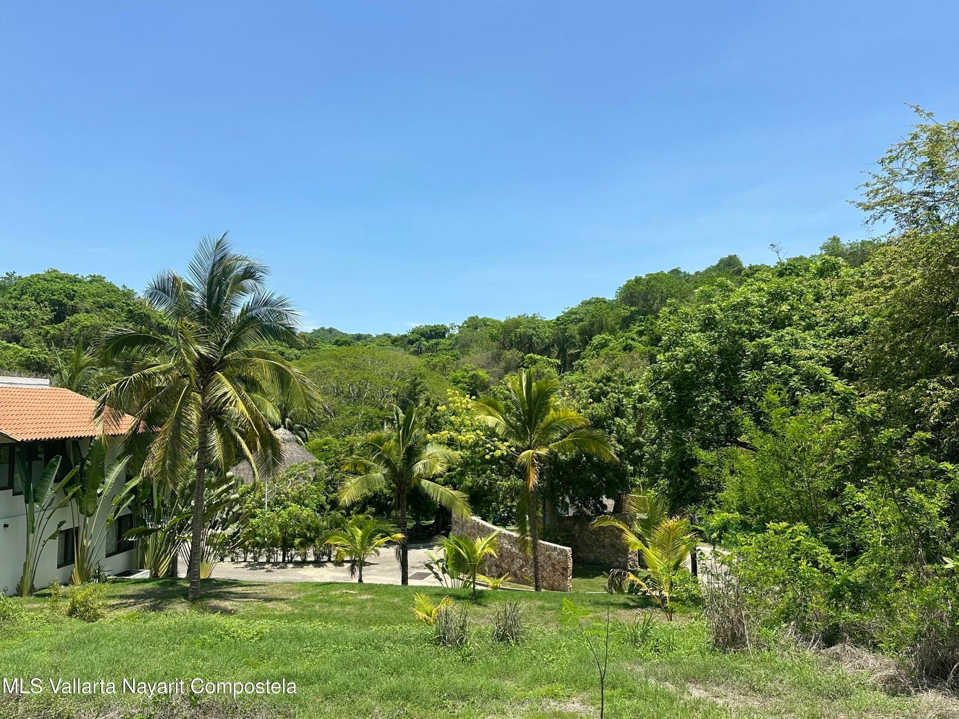 Reserva 1, Selva Makuu