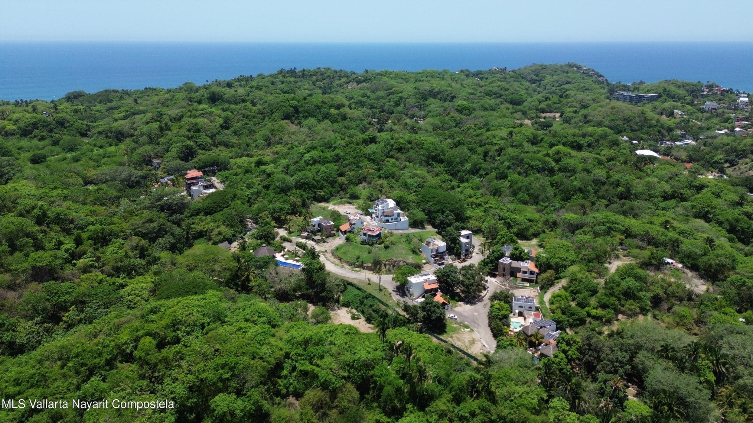 Reserva 1, Selva Makuu