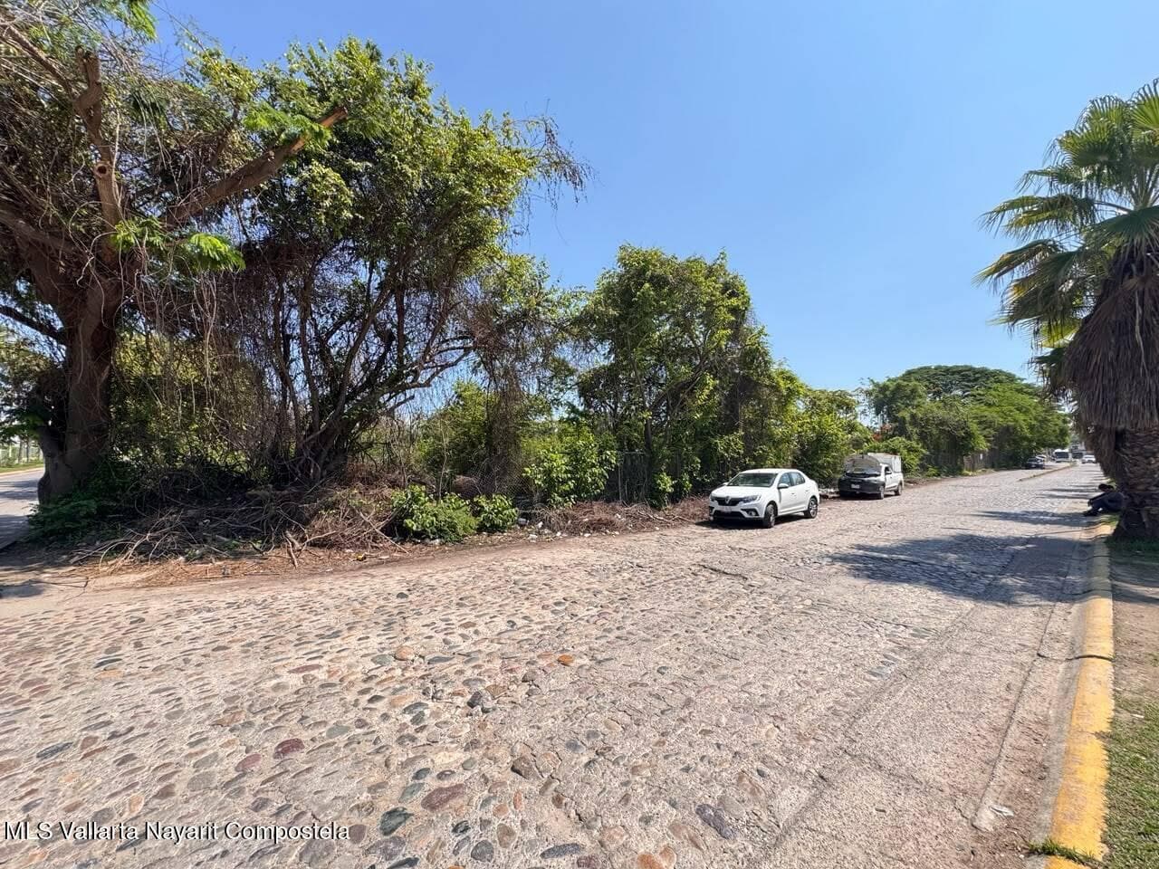 Lote Central