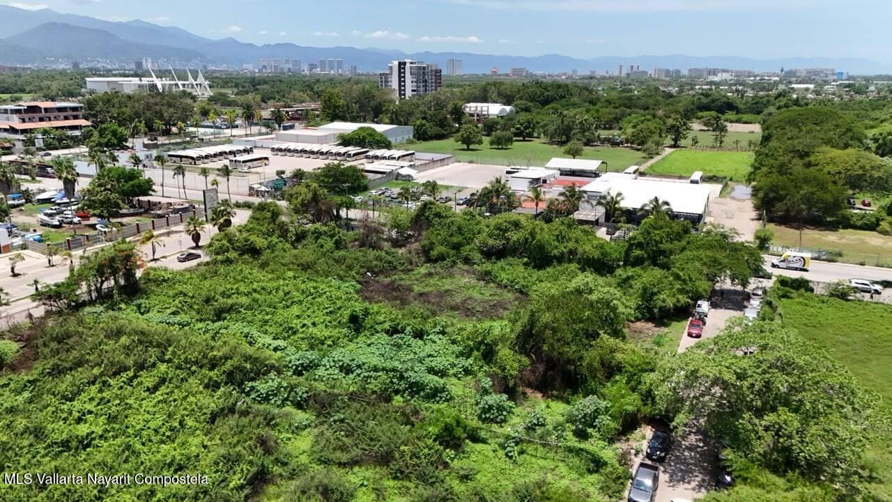 Lote Central