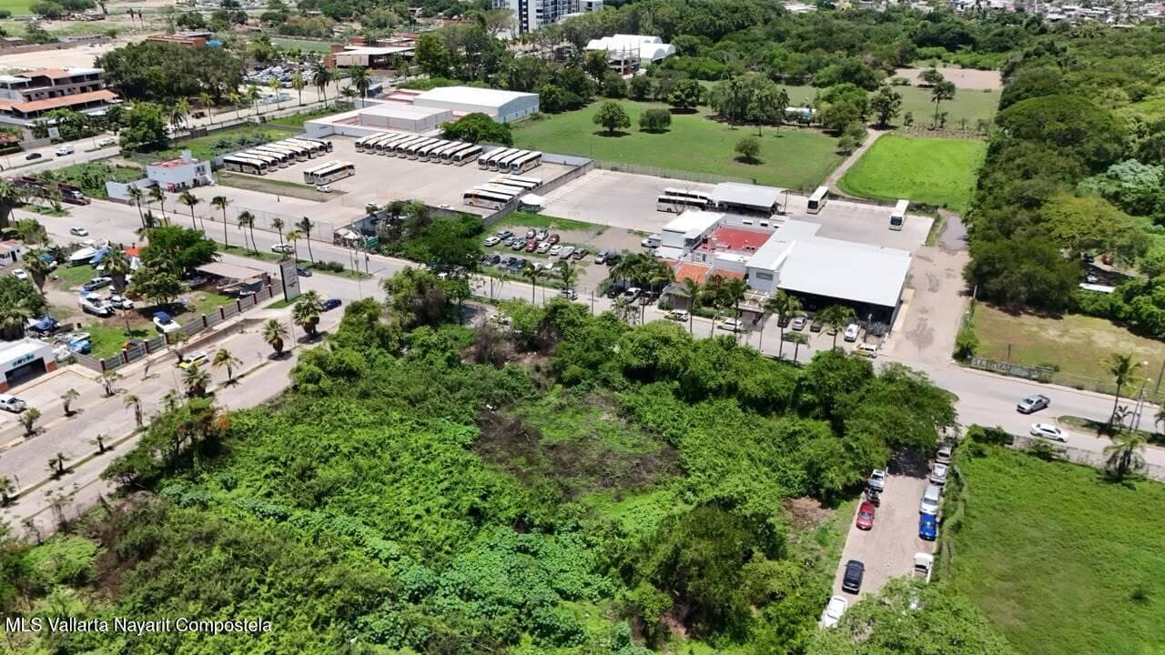 Lote Central