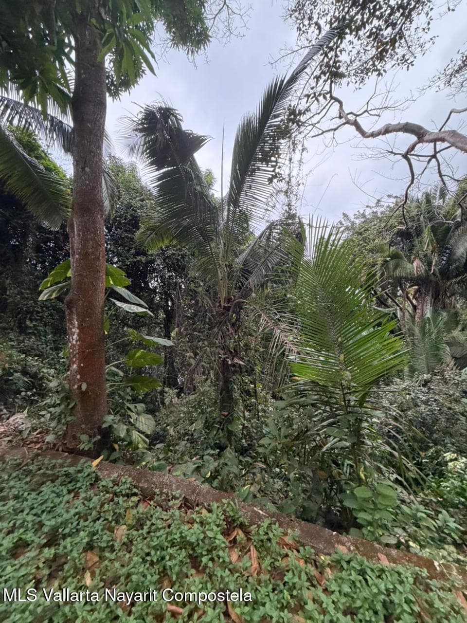 SAN XOAQUIN